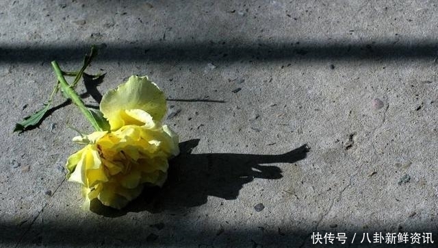 经典|千古绝对! 上联: 冻雨洒窗, 东二点西三点, 下联经典到爆!