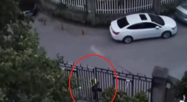 摇门|每天早上“摇门”大爷, 疑似尝到几千元赔偿甜头, 子女下跪劝阻都没用