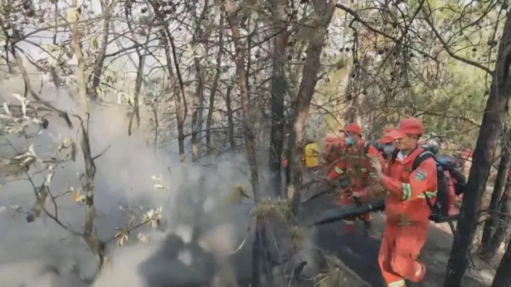  民情直通车|丢一个烟头，获刑两年半！