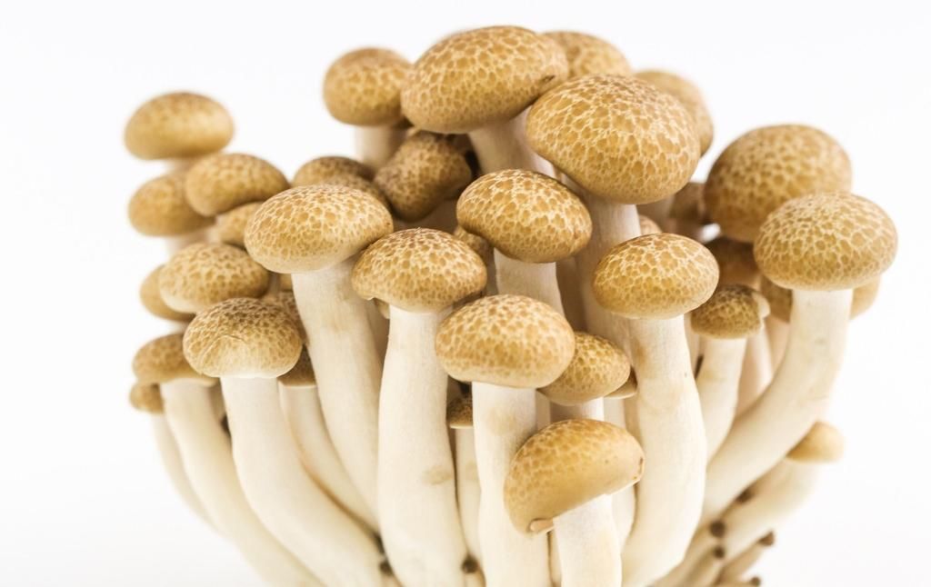  适宜|2种适宜心血管病人的理想食品！常吃可减少血液凝块，预防冠心病