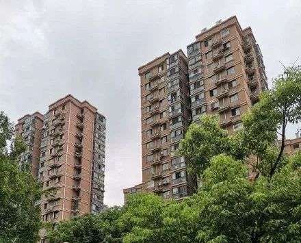  AI|杭州杀妻案告破，警务 AI 也立功了