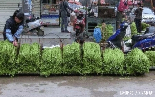 出口|中国不起眼的蔬菜,起了个“洋名字”,出口到美国,卖的比肉还贵!