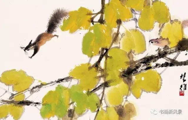  松鼠|看他画的小松鼠，绝对是一种享受！