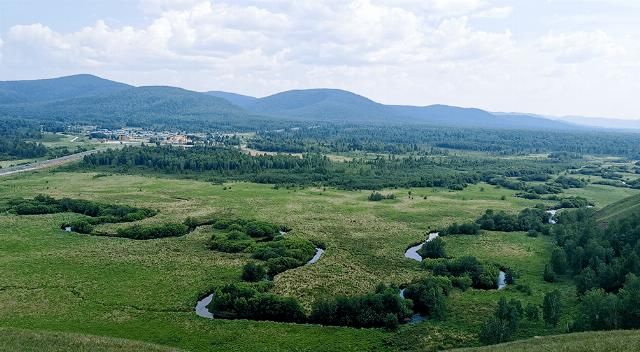  失业|官宣失业的180天里，旅游人都经历了什么？