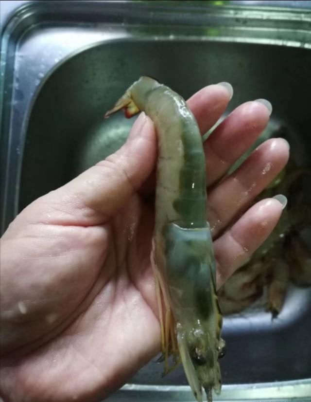  海鲜|开海了，立秋后海虾正肥，挑选时见有粗粗“虾线”，赶紧带它回家