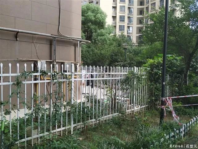  下落|突发！7岁男童从11楼坠下落在栅栏上，送医后不治身亡