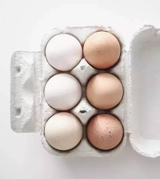  鹌鹑蛋|鸡蛋、鸭蛋、鹅蛋、鹌鹑蛋，营养差别这么大，不知道亏大了