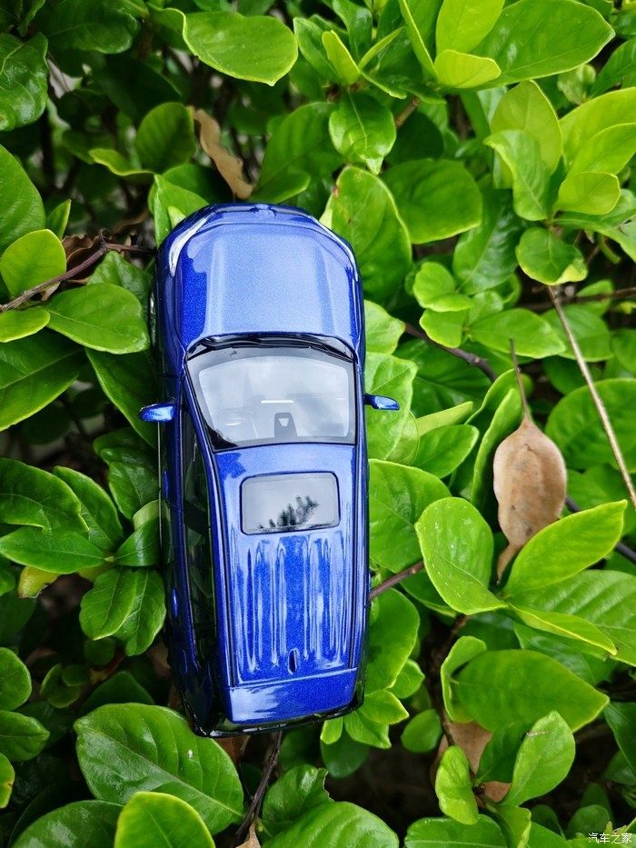 拍摄|拥有威兰达车模,绽放花丛中,说说感受