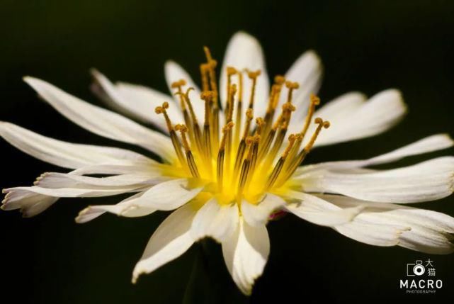  模特|【摄影讲评】顺光、侧光、逆光怎么用 第1268讲？