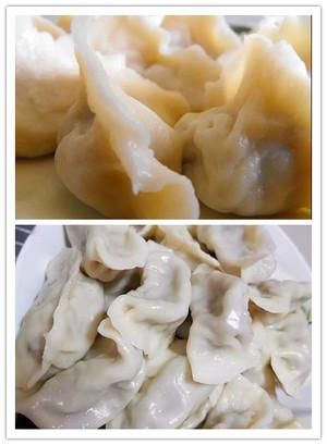 香菇|头伏饺子二伏面 饺子已出锅 防暑又解馋~营养又美味