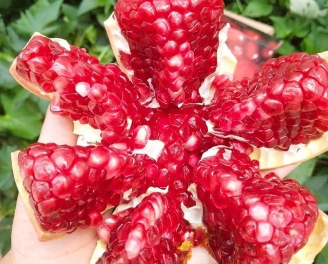 枞菇|农村秋季美食正当时，错过又要等一年！吃货的福利来了