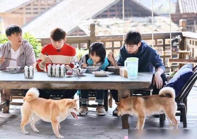  创新|《向往的生活4》评分创新低，节目再被唱衰，彭昱畅成最大槽点