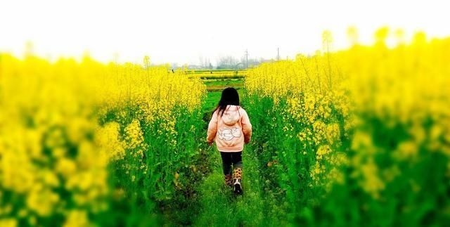  农民丰收节|袁隆平要，李子柒也要，这才是我们中国农村