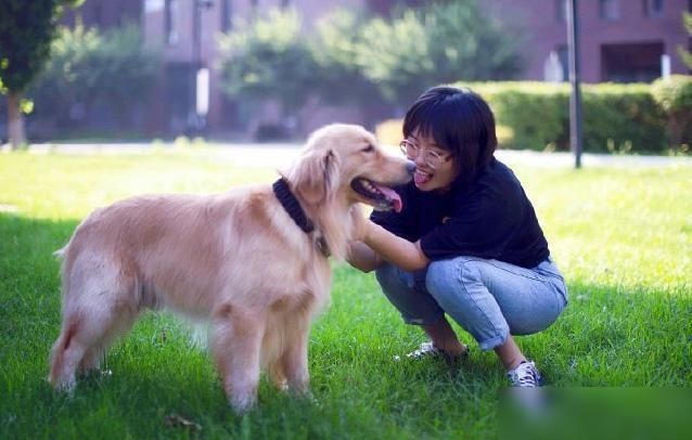  李雪琴|脱口秀界需要李雪琴这样的人