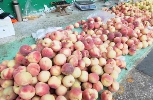 识货|50岁大叔街头卖“它”,10元8斤,无人识货,我看一眼全买了