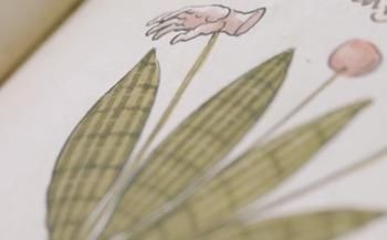  魔法|哈利波特40岁了，我才走进现实中的魔法世界