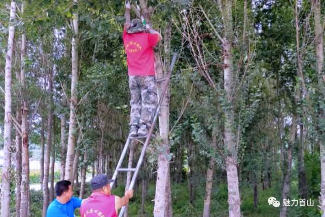  群众|清除路边杂草保障群众安全出行