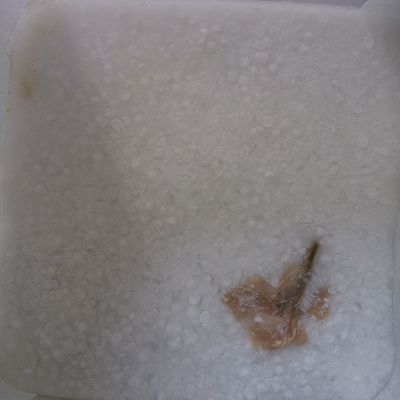  凉糕|双色西米凉糕