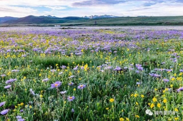 长白山|三伏暑热天，让我带你去这些只有25°的地方纳凉吧！
