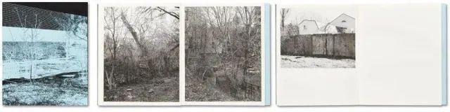  停用|摄影圈｜佳能宣布所有新产品停用两个术语 / 女摄影师凭水中拍鸟成北美打鸟第一人