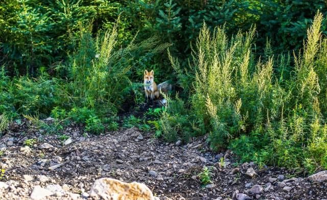 自驾游|一份颠覆你对内蒙传统印象的自驾游攻略,原来内蒙的美远不止草原