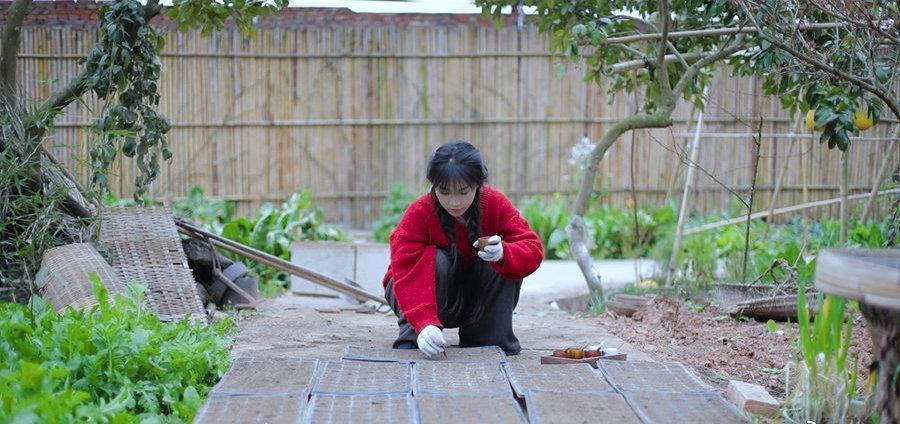 独特|李子柒,独特的美食博主