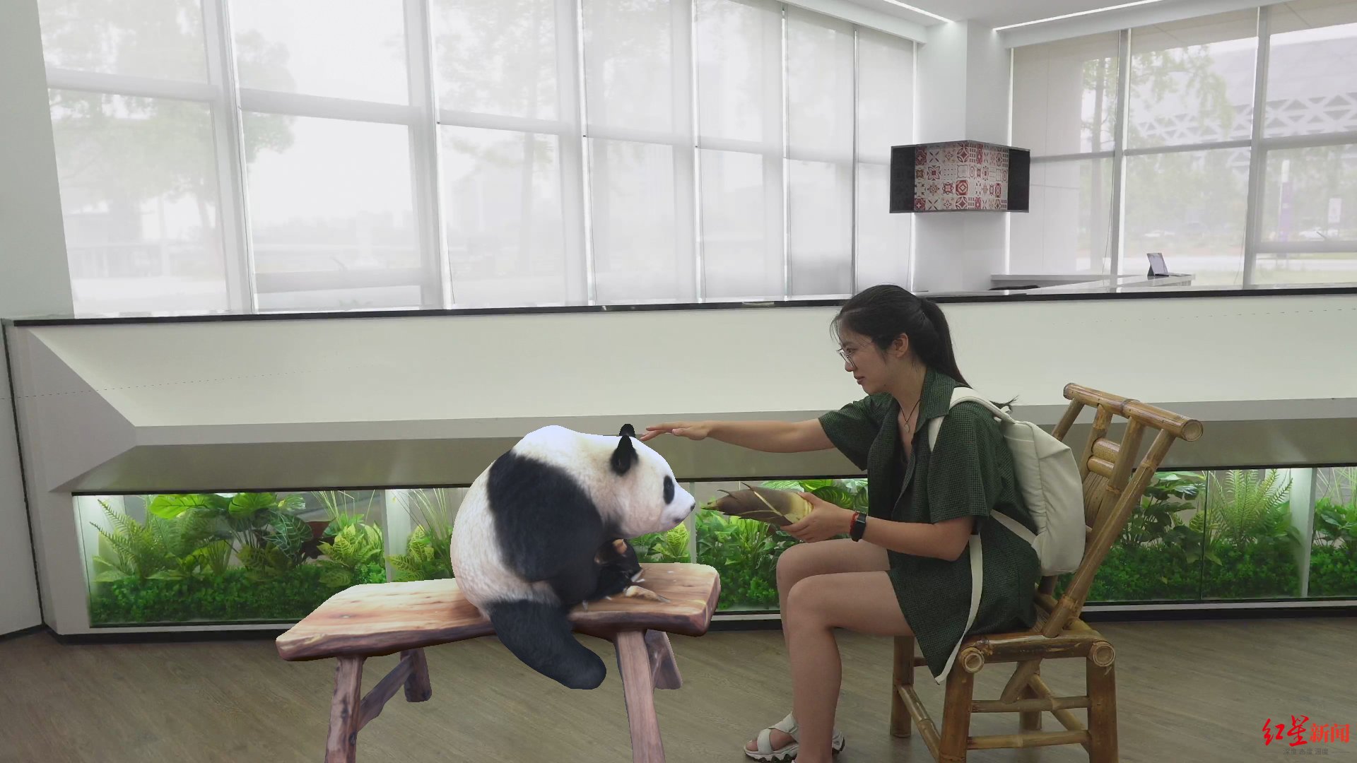大熊猫AR互动、AI督导*分类……媒体+市民代表抢先体验大运科技魅力插图