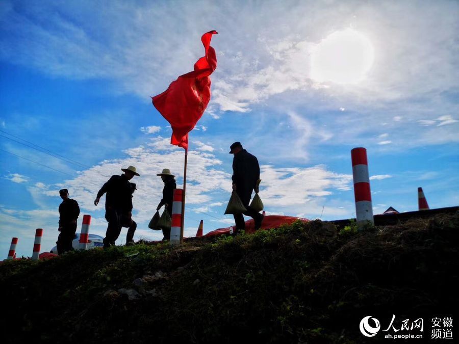 东小圩|庐江监狱青年民警奋战抗洪一线