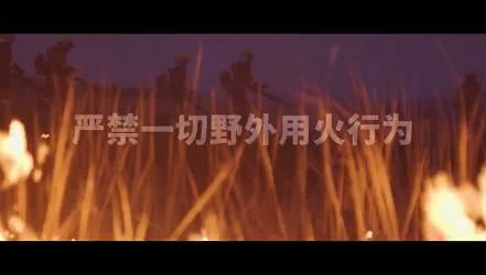  警方|警方通报！犯罪嫌疑人王某某已被刑事拘留