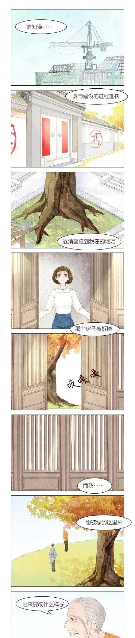  漫画|故事漫画：大树