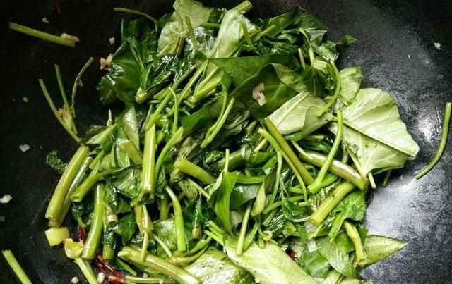 含钙|它是8月的当季菜, 1块钱就能买1斤, 含钙丰富, 立秋多吃才不亏