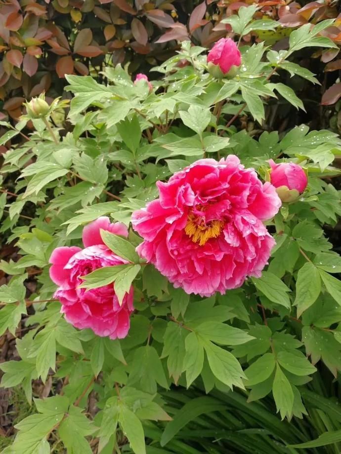  司机|有谁认识！早上8点，余杭这几个司机被人拍下了！