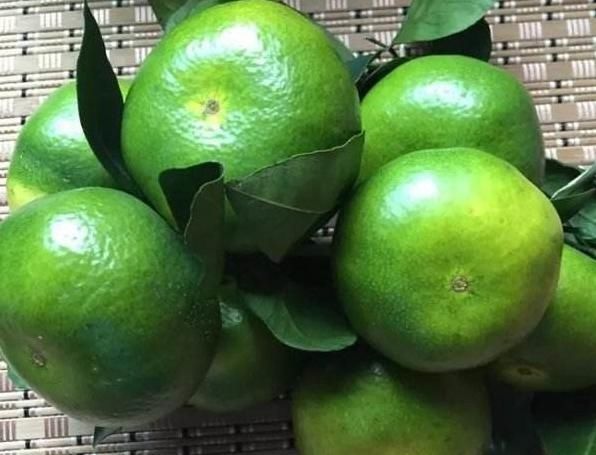 绿皮橘子|秋天到了,买橘子记得挑母的,大妈教我4招小技巧,一挑一个准
