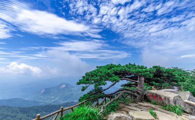  错峰|免票了!何时来赴约？武汉周边游错峰避暑线路给您安排