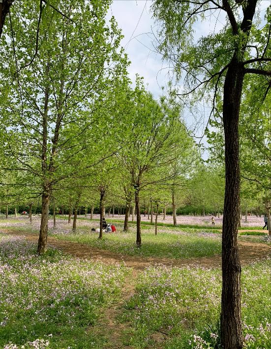  宿舍|“忍受了宿舍&合租生活后，我终于搬出来一个人住了”