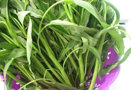 保证|炒空心菜,易发黑还出水大厨教你一招,保证绿油油的,还不出水