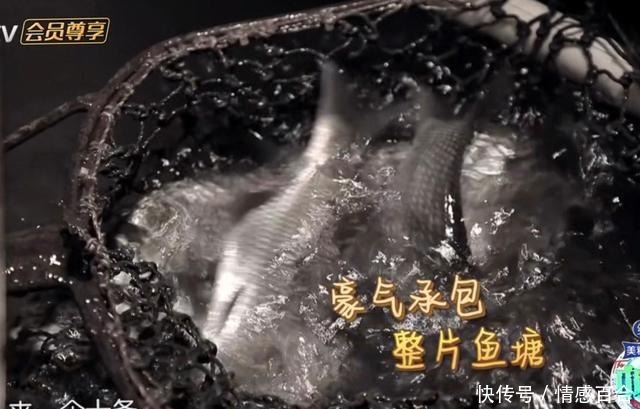 把扇子|《中餐厅》林大厨乱花钱是假象,plus版给出答案,境界不一般