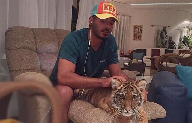  王子|卡塔尔王子在美留学“壕”得漏油，学历不用自己考？靠的都是假发票？