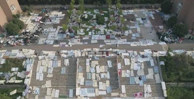  山东|悦读大学｜山东管院学子回归，校园现晒被大军！学生：终于到家了