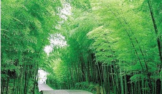 永康|浙江有个地方“藏龙卧虎”,永康到那里仅需1小时55分