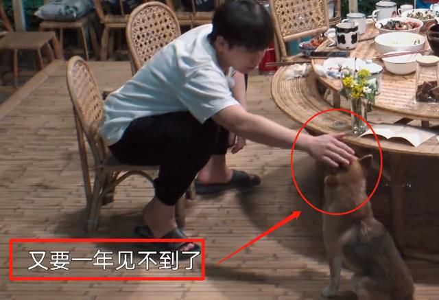  彭昱畅|向往4收官，巴图蘑菇屋翻唱《心墙》，我却在关注彭昱畅的举动