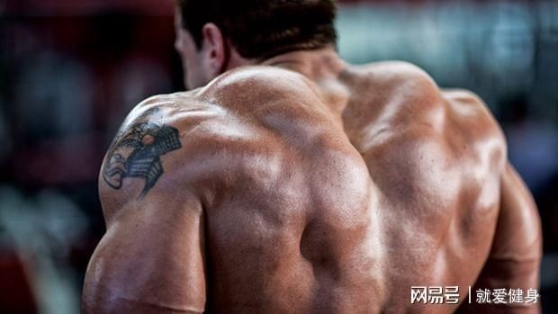  三角肌|别把窄肩怪在基因上，高手靠这些方法把它练宽！