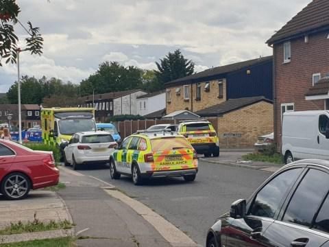 政府|男子花1.5亿买59套房,如今全被政府没收