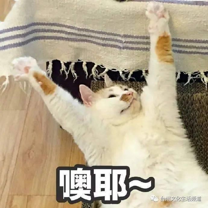  驾驶员|司机追尾被困车内，消防员来了这样做……