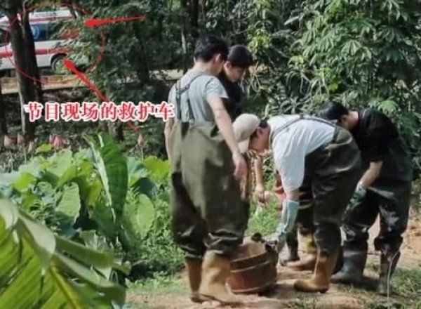  画面|《向往4》嘉宾努力干活，粉丝为爱豆们捏一把汗，我却留心远景画面