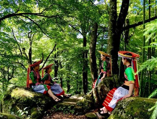 崇木|崇木凼村：与“古树”相生相成