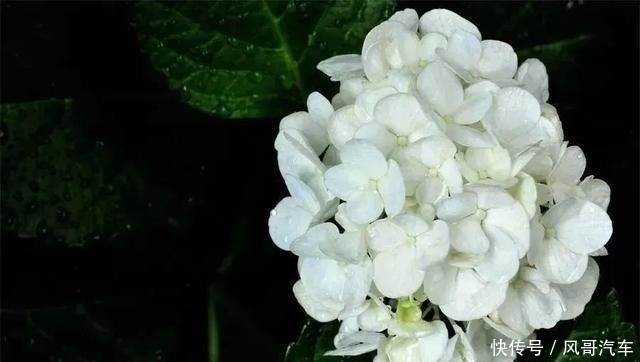 网红|这位奶奶大器晚成,72岁学摄影,89岁办影展,想退休可实力不允许