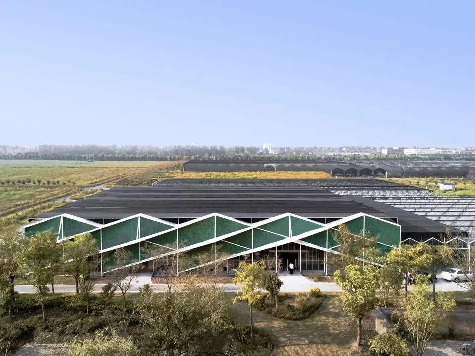  不落俗套|乡建如何不落俗套？15个最佳乡村建筑告诉你