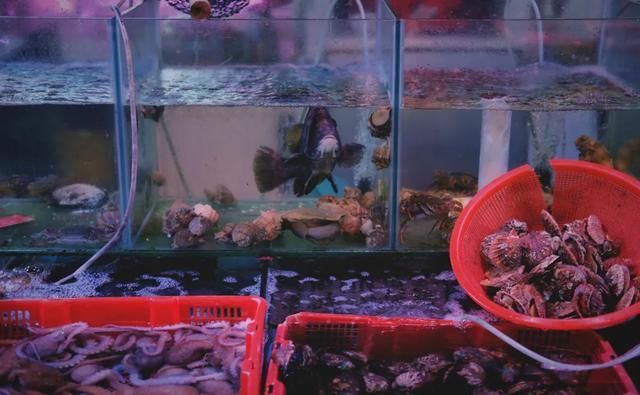 快乐|我在青岛做了这10件小事,找回了久违的快乐