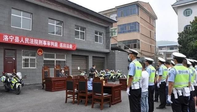 驾驶|洛宁集中公开审判9起危险驾驶案